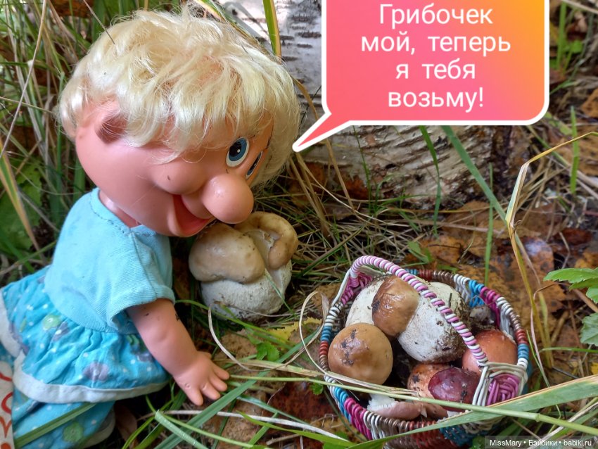 Весёлые картинки. Грибной азарт
