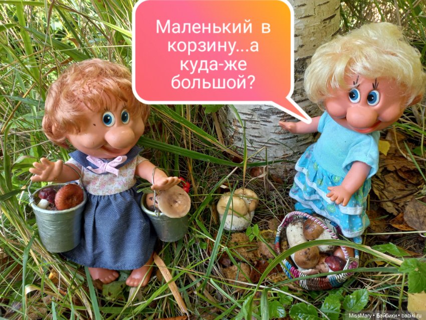 Весёлые картинки. Грибной азарт