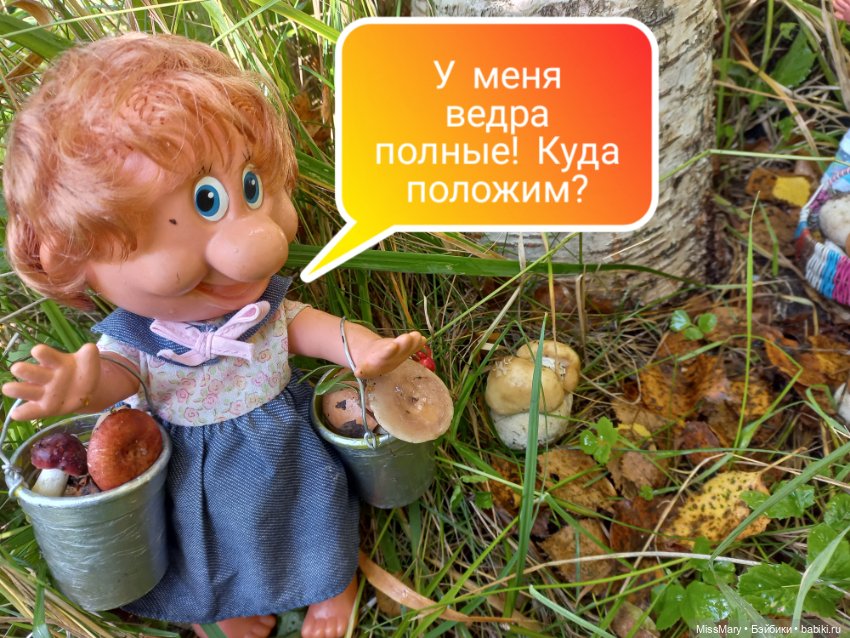 Весёлые картинки. Грибной азарт