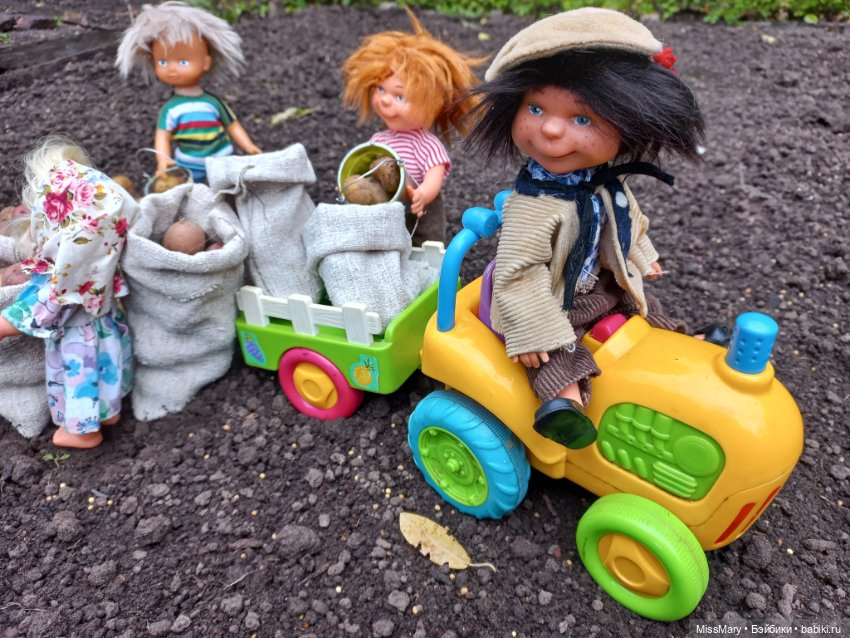 Деревенские мотивы. Урожай картошки (фото 6)