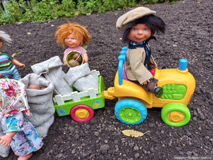 Деревенские мотивы. Урожай картошки (фото 2)