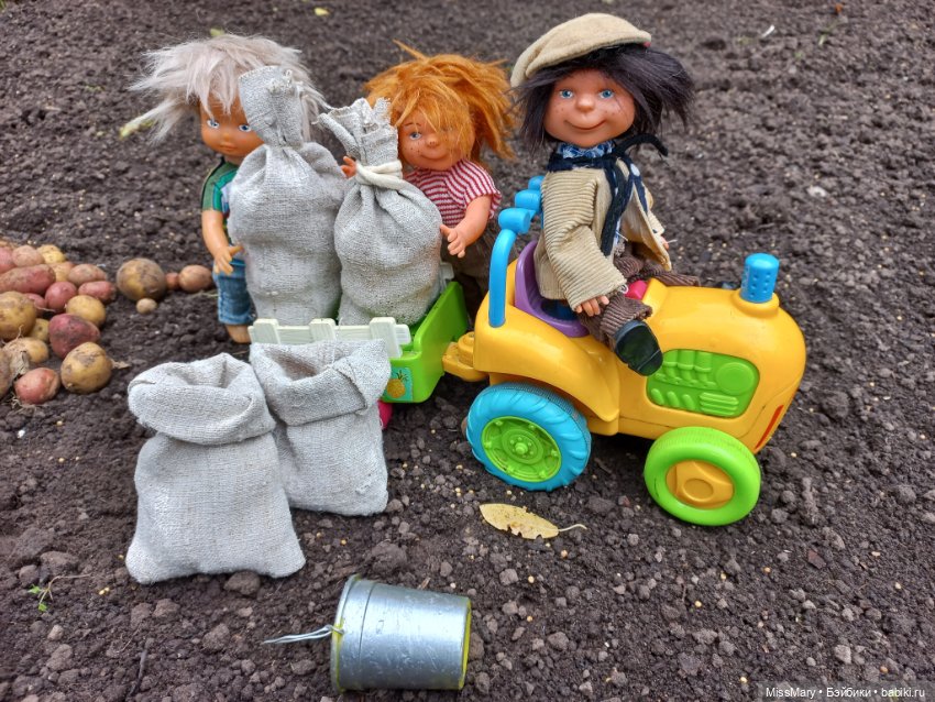 Деревенские мотивы. Урожай картошки