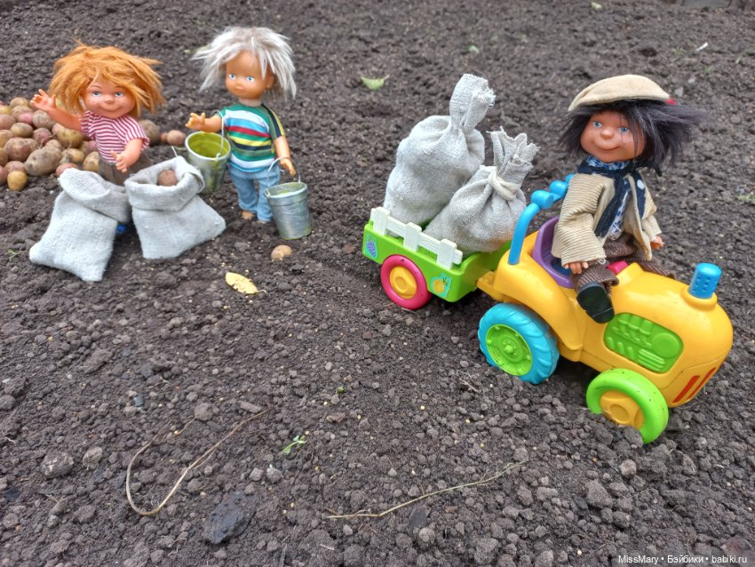 Деревенские мотивы. Урожай картошки