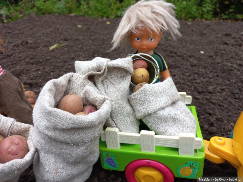 Деревенские мотивы. Урожай картошки