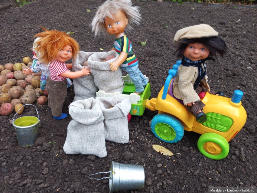 Деревенские мотивы. Урожай картошки