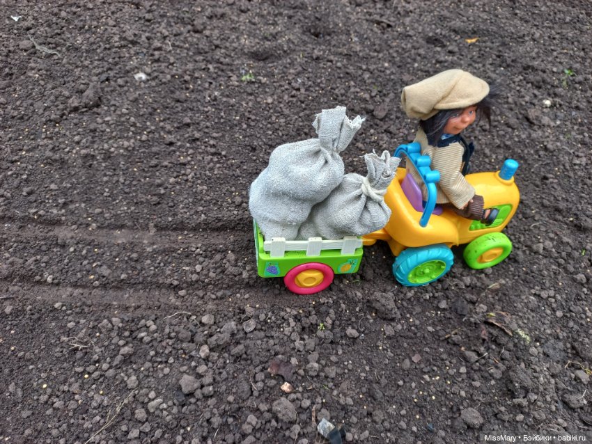 Деревенские мотивы. Урожай картошки