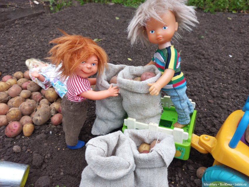 Деревенские мотивы. Урожай картошки