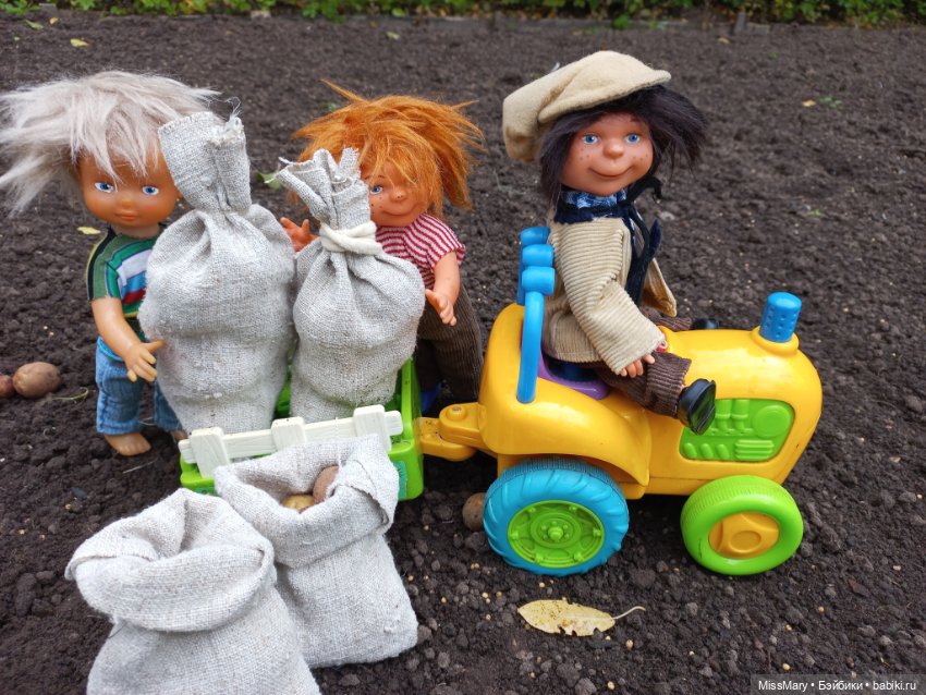 Деревенские мотивы. Урожай картошки