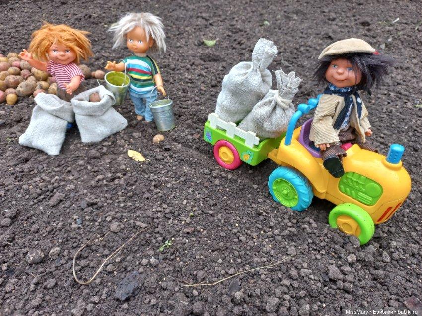 Деревенские мотивы. Урожай картошки