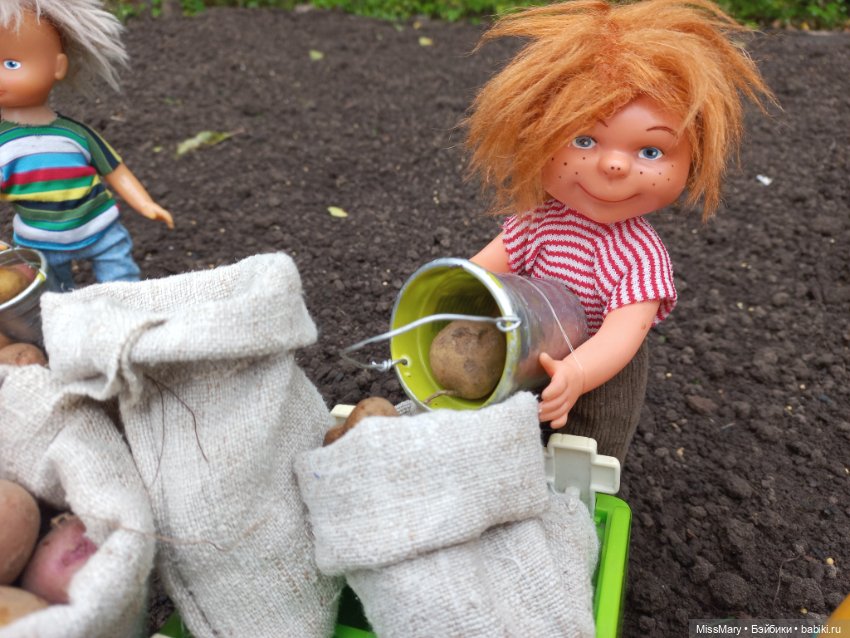 Деревенские мотивы. Урожай картошки