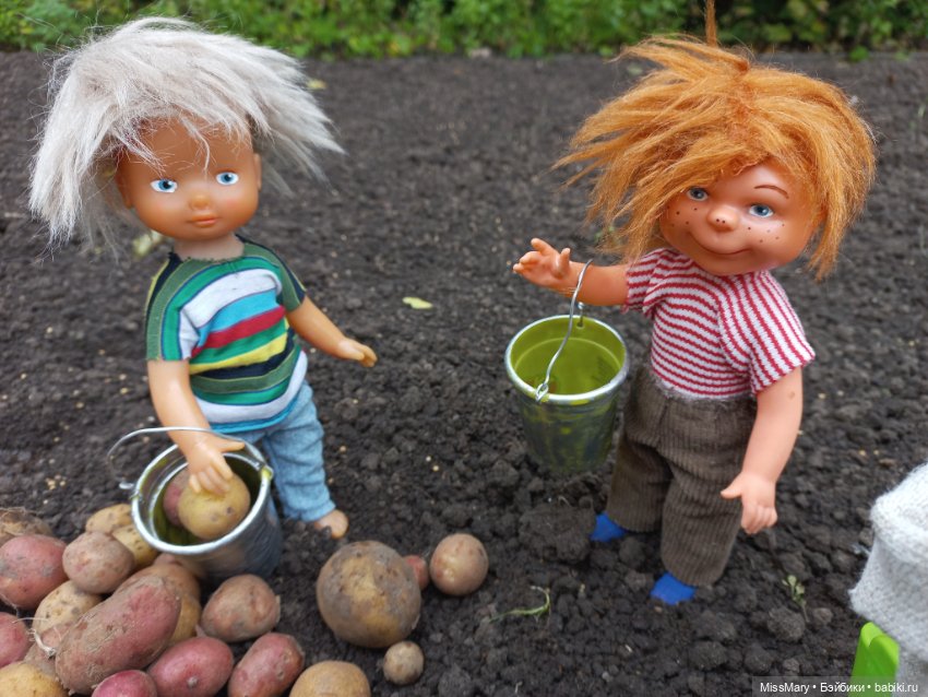 Деревенские мотивы. Урожай картошки