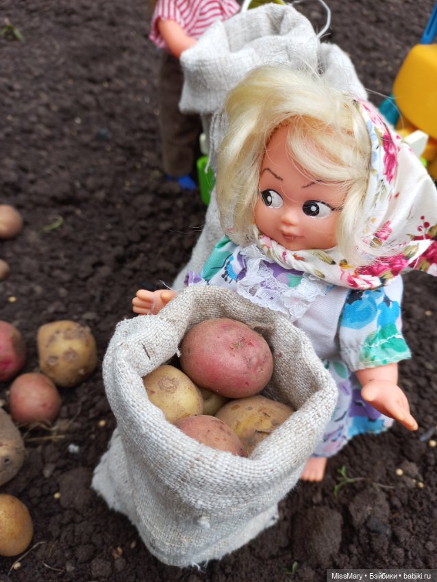 Деревенские мотивы. Урожай картошки (фото 5)