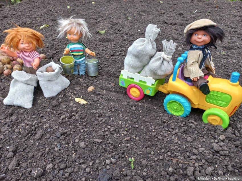 Деревенские мотивы. Урожай картошки