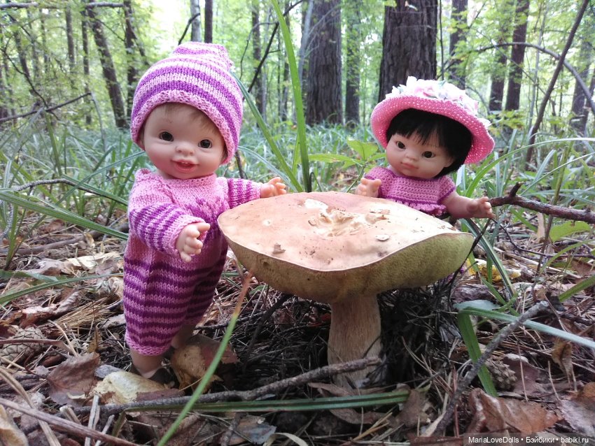 А ну-ка, на грибалочку скорее, грибники (фото 5)