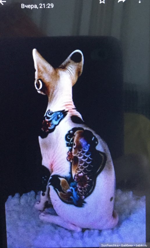 В гостях у ПинкЛау — Румбоксы и кукольные интерьеры: фото