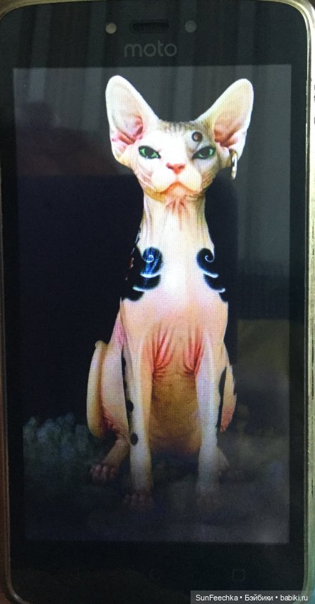 В гостях у ПинкЛау — Румбоксы и кукольные интерьеры: фото