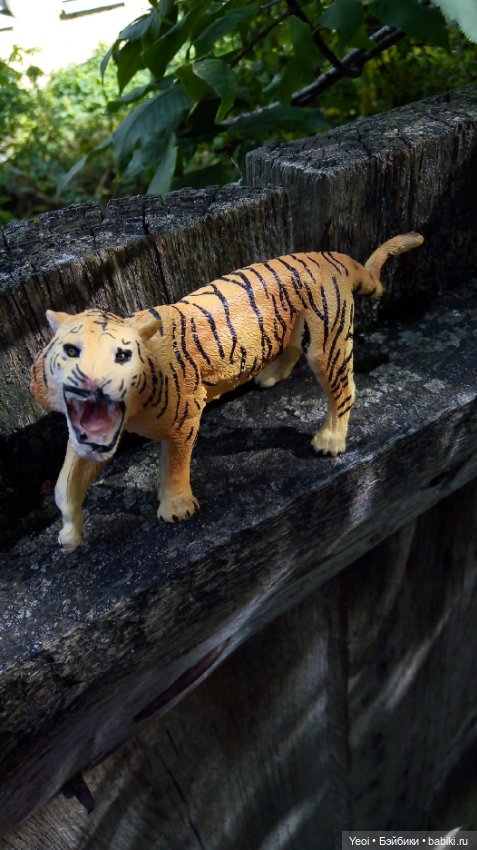 Фото Бижу Мокси Тинз / Moxie Teenz