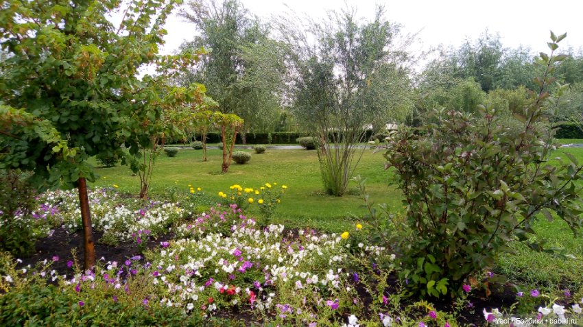 Фото Бижу Мокси Тинз / Moxie Teenz