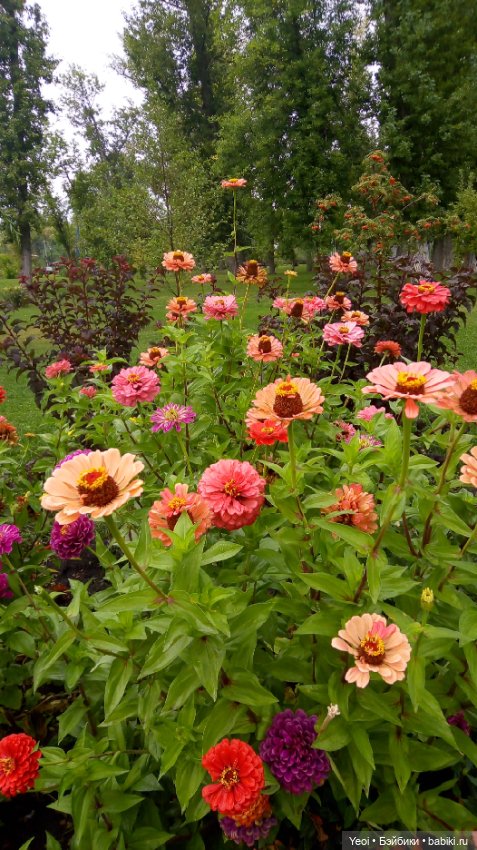 Фото Бижу Мокси Тинз / Moxie Teenz