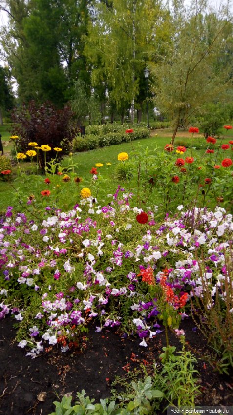 Фото Бижу Мокси Тинз / Moxie Teenz