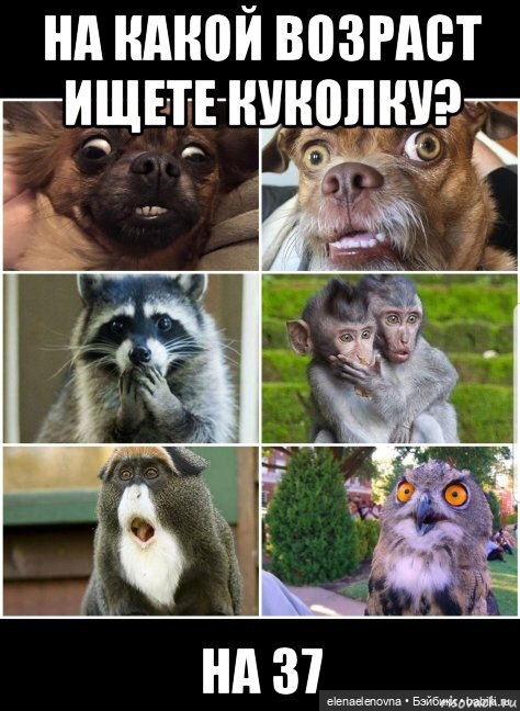 Для настроения про КУКОЛ 😂