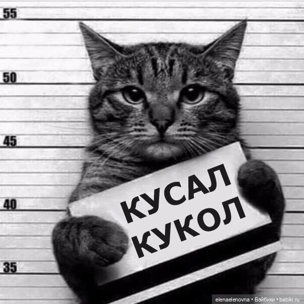 Для настроения про КУКОЛ 😂