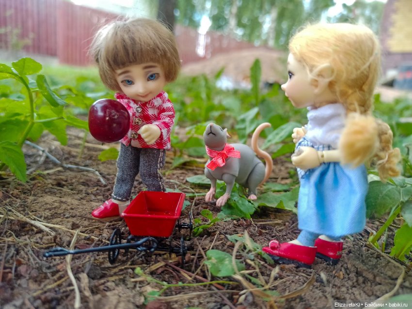 Поход за вишней. Realpuki. 131 (фото 10)