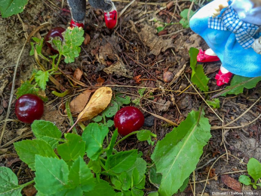 Поход за вишней. Realpuki. 131 (фото 8)