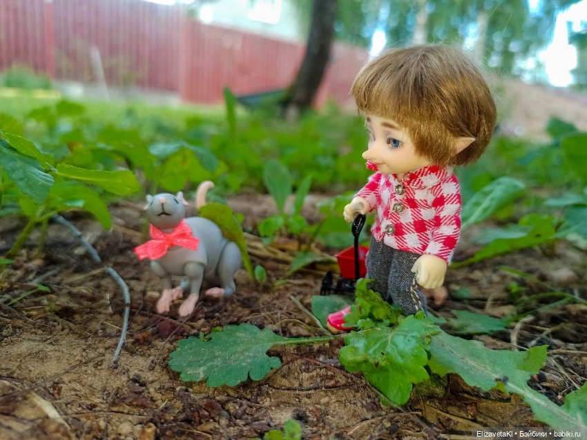 Поход за вишней. Realpuki. 131 (фото 4)