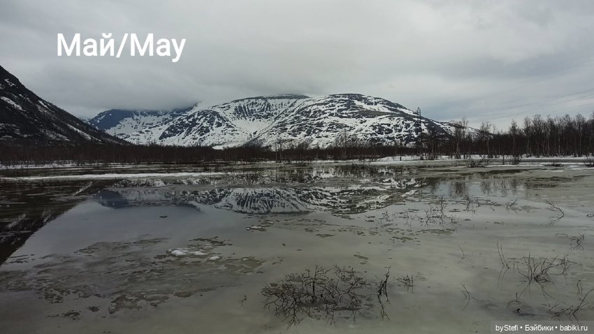 Покажу осень в Заполярье. И изменения одного и того же места. В разные месяцы. Приглашаю прогуляться