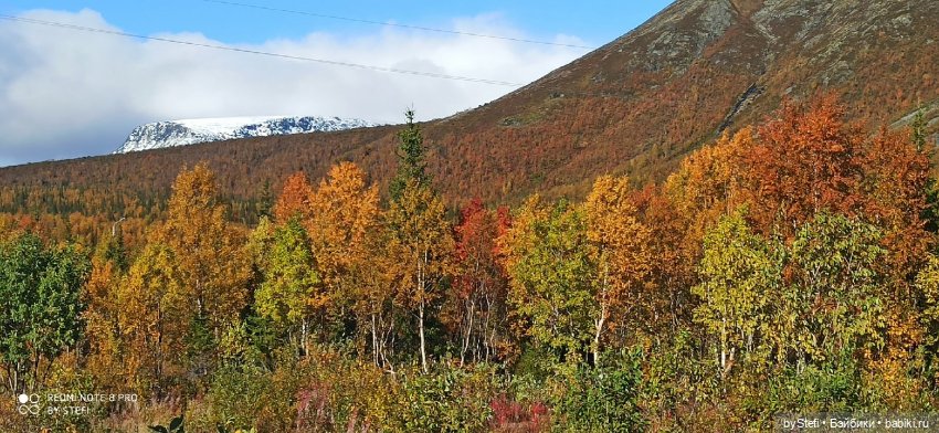 Покажу осень в Заполярье. И изменения одного и того же места. В разные месяцы. Приглашаю прогуляться
