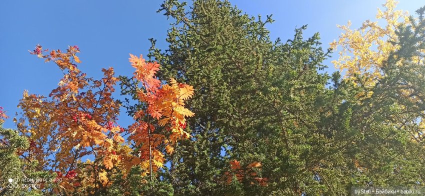 Покажу осень в Заполярье. И изменения одного и того же места. В разные месяцы. Приглашаю прогуляться