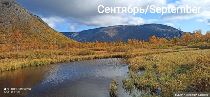 Покажу осень в Заполярье. И изменения одного и того же места. В разные месяцы. Приглашаю прогуляться (фото 10)