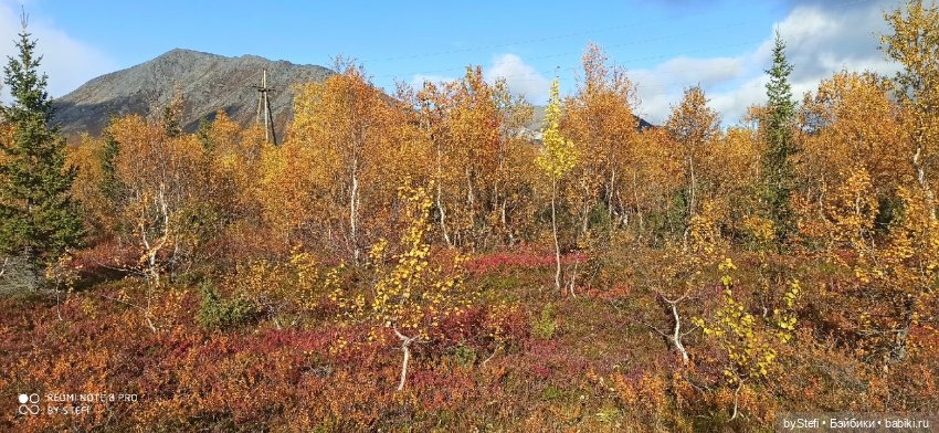 Покажу осень в Заполярье. И изменения одного и того же места. В разные месяцы. Приглашаю прогуляться
