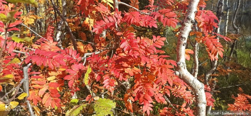 Покажу осень в Заполярье. И изменения одного и того же места. В разные месяцы. Приглашаю прогуляться