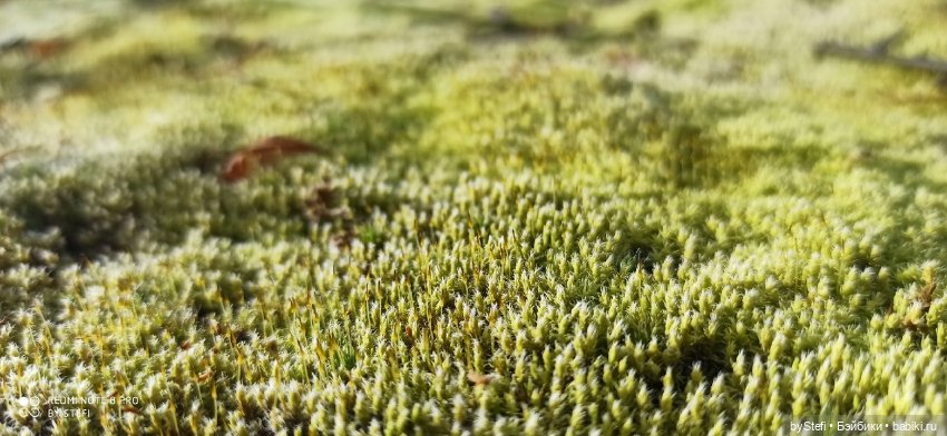 Покажу осень в Заполярье. И изменения одного и того же места. В разные месяцы. Приглашаю прогуляться