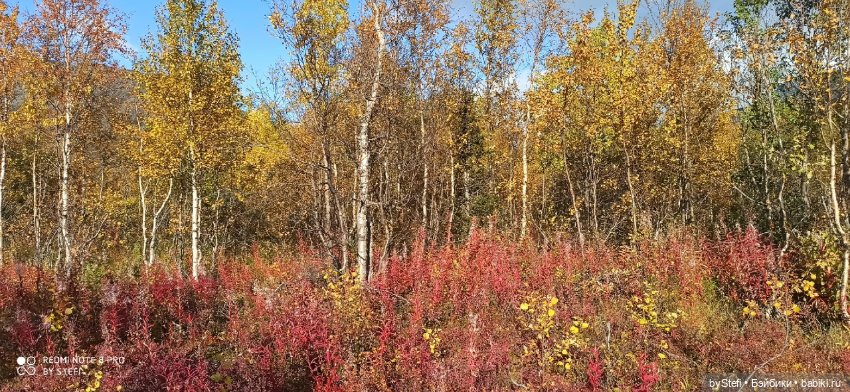 Покажу осень в Заполярье. И изменения одного и того же места. В разные месяцы. Приглашаю прогуляться