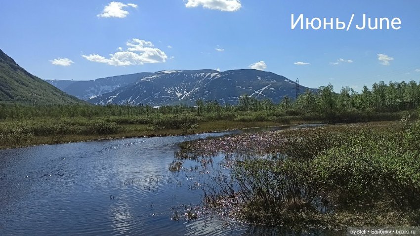 Покажу осень в Заполярье. И изменения одного и того же места. В разные месяцы. Приглашаю прогуляться (фото 4)