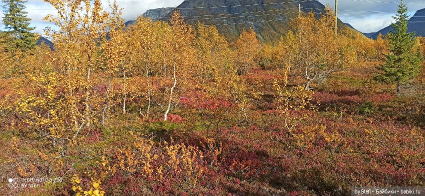 Покажу осень в Заполярье. И изменения одного и того же места. В разные месяцы. Приглашаю прогуляться