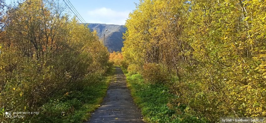 Покажу осень в Заполярье. И изменения одного и того же места. В разные месяцы. Приглашаю прогуляться