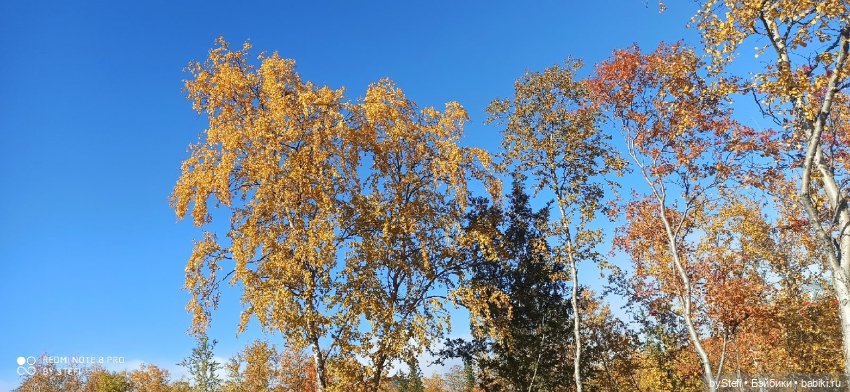 Покажу осень в Заполярье. И изменения одного и того же места. В разные месяцы. Приглашаю прогуляться