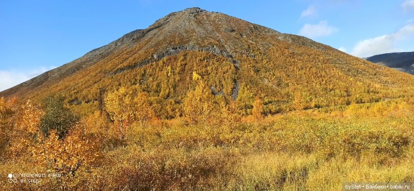 Покажу осень в Заполярье. И изменения одного и того же места. В разные месяцы. Приглашаю прогуляться