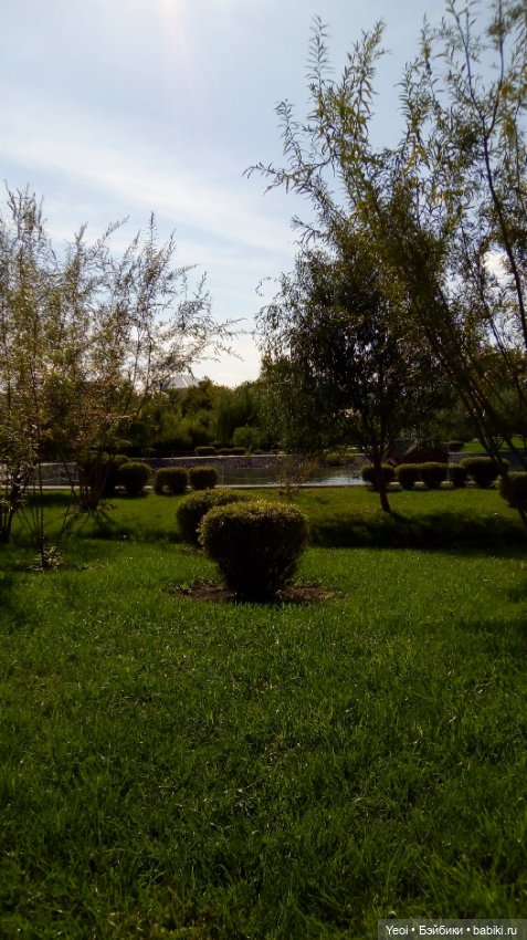 Фото (рыжего) Кена Тейта 1959, Маттел в парке