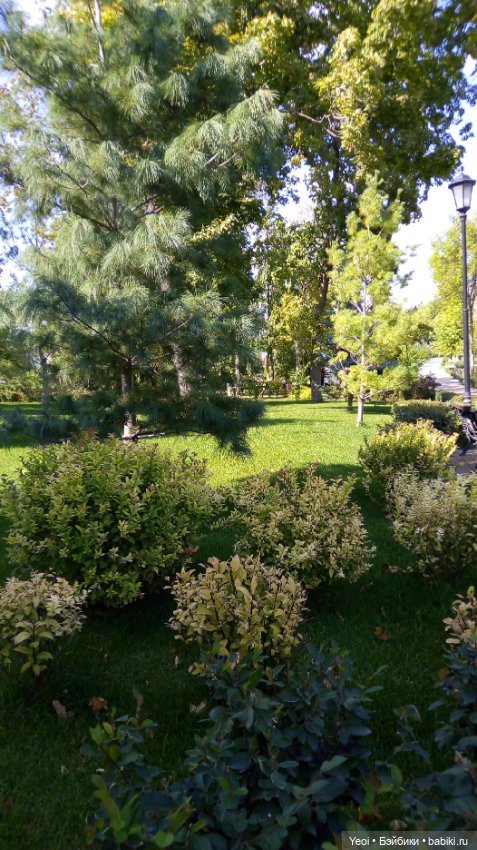 Фото (рыжего) Кена Тейта 1959, Маттел в парке