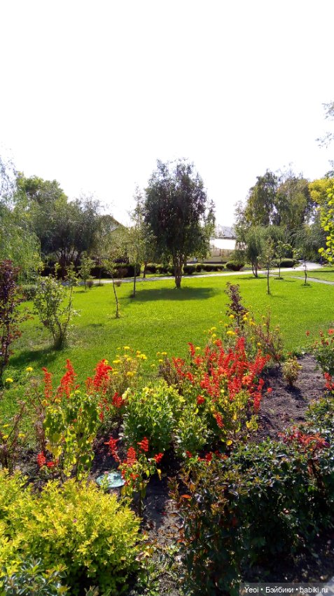 Фото (рыжего) Кена Тейта 1959, Маттел в парке