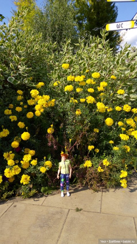 Фото (рыжего) Кена Тейта 1959, Маттел в парке