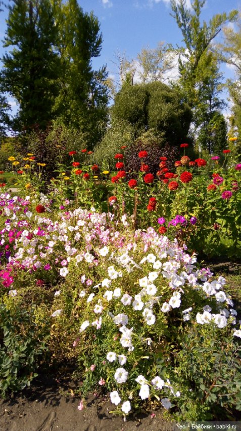 Фото (рыжего) Кена Тейта 1959, Маттел в парке