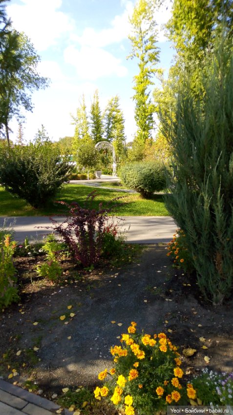 Фото (рыжего) Кена Тейта 1959, Маттел в парке