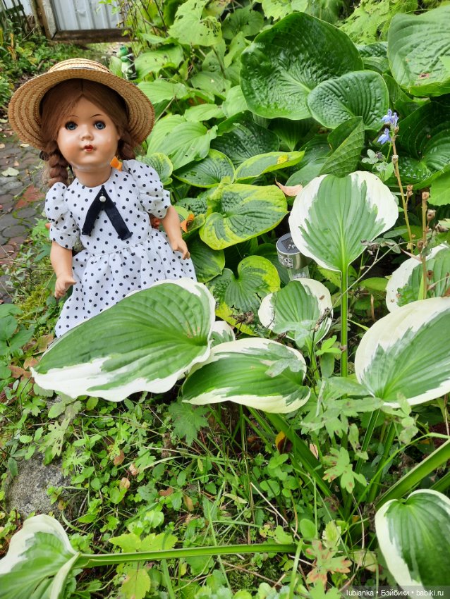 Летнее платье приехало осенью (фото 3)