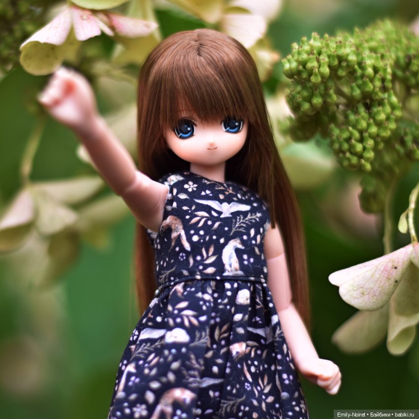 Время волшебства — Аниме куклы (MJD/Винил): Imomo (фото 5)